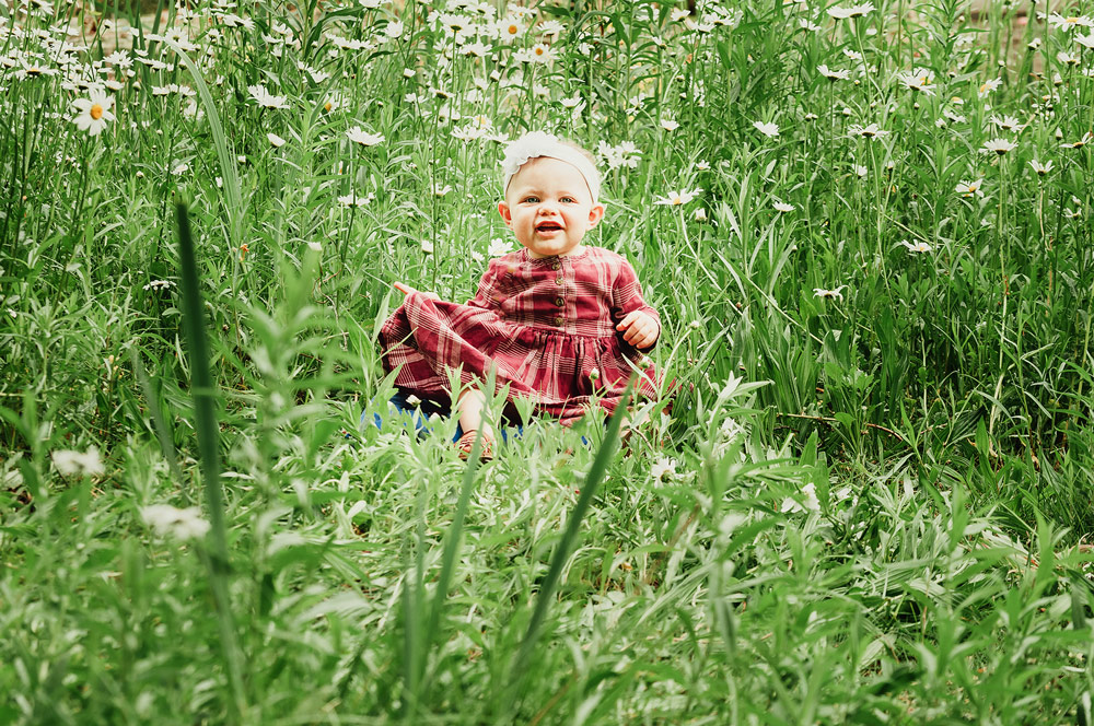 little baby girl wearing maroon plaid dress with ribbon head band sitting in a field of daisies
